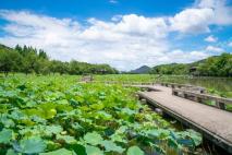 滨江盛元湘湖里附近的湘湖