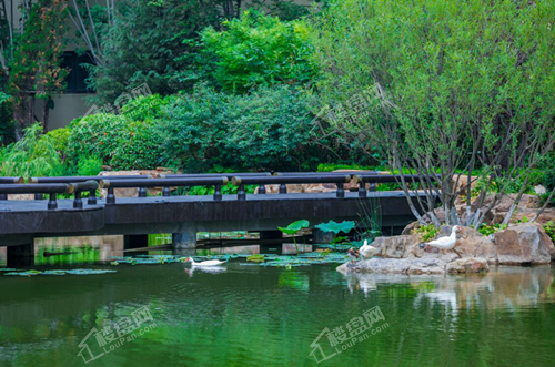 龙湖舜山府实景图