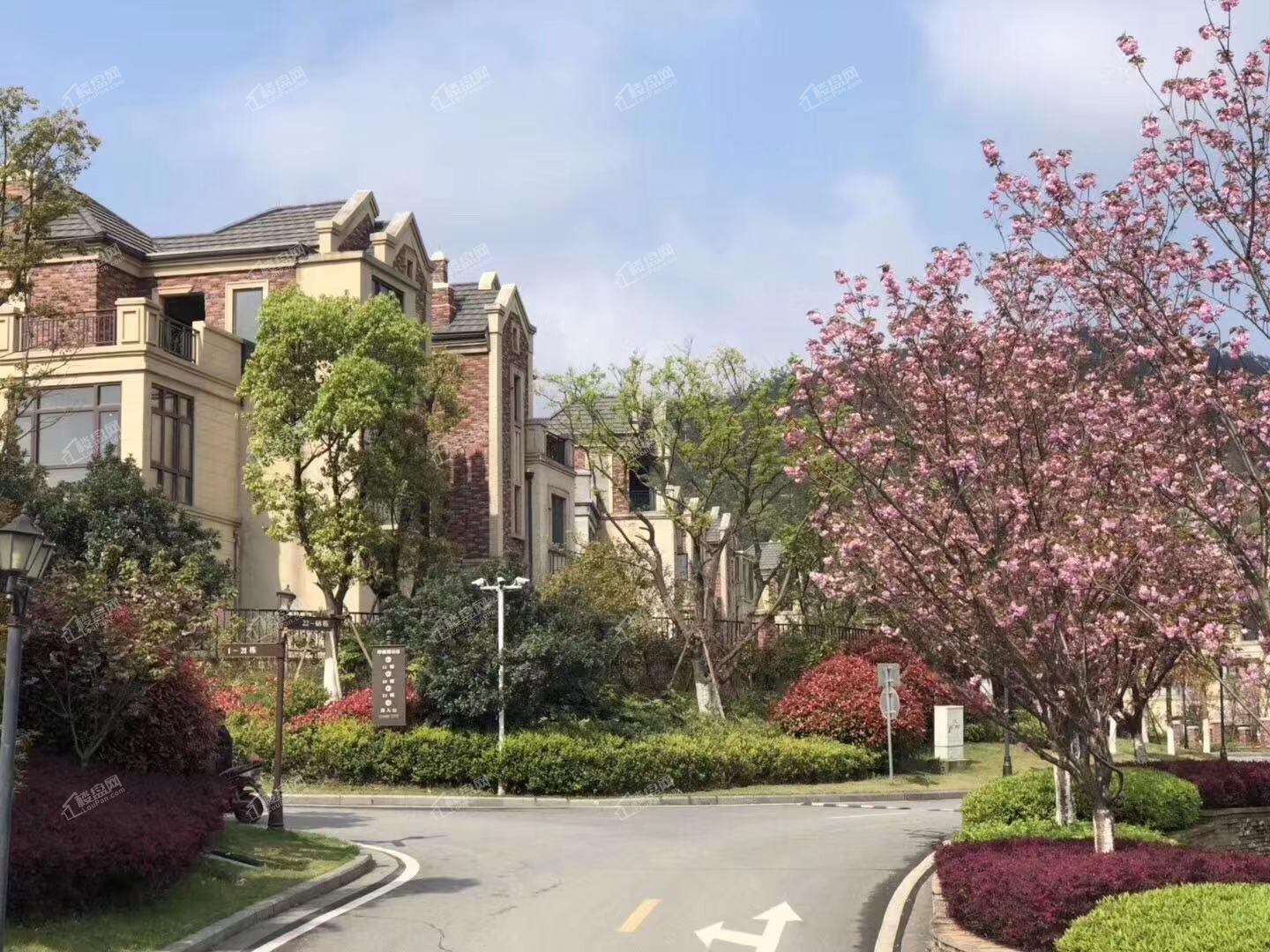 南昌保利半山温泉谷效果图_实景图_样板间-南昌楼盘网