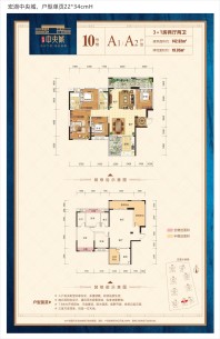 宏湖中央城10号楼A1和A2户型3室2厅2卫142.92㎡