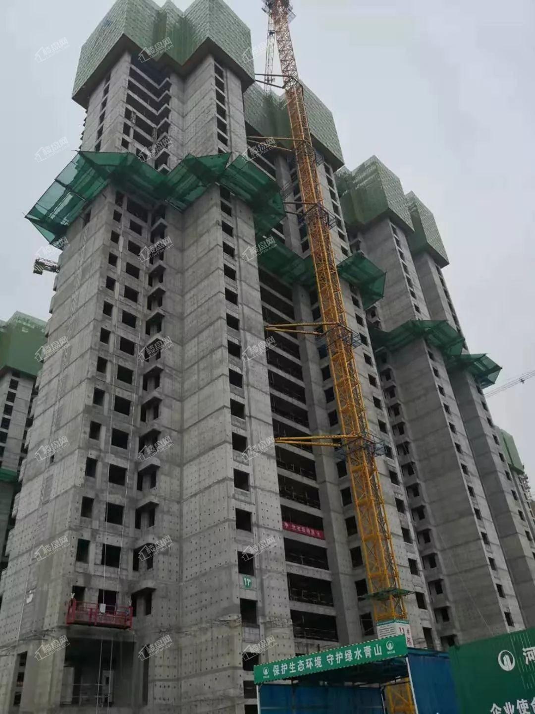 建业新城二期11#楼30层主体施工，砌体19层施工。