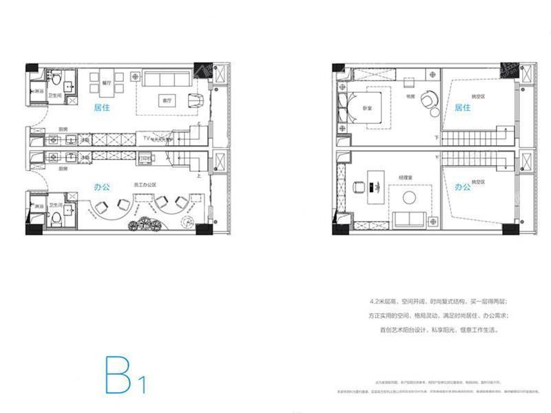 公寓B1户型-55