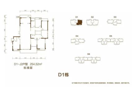 D1-J2户型