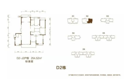 D2-J2户型