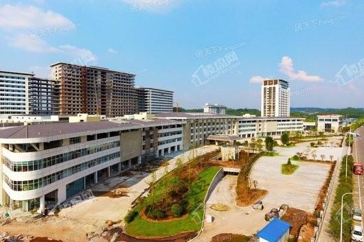 亿林龙城三期华泰国际医院