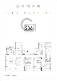 融创望海潮236平米洋房户型 5室2厅3卫1厨