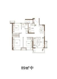 新浦西孔雀城·云樾东方89中户型图 3室2厅1卫1厨