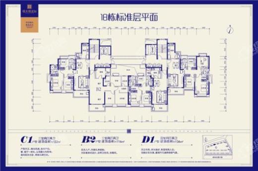 长兴恒大悦龙台户型图