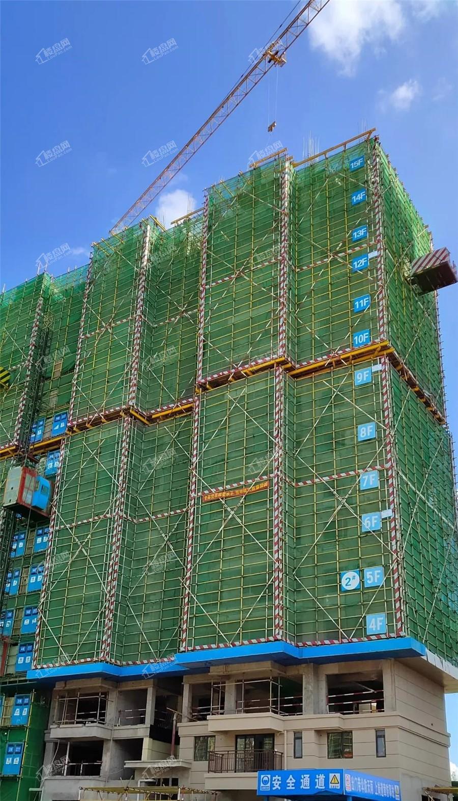 中梁国宾熙岸2#楼施工至结构15层实景图（摄于2019-11-5）