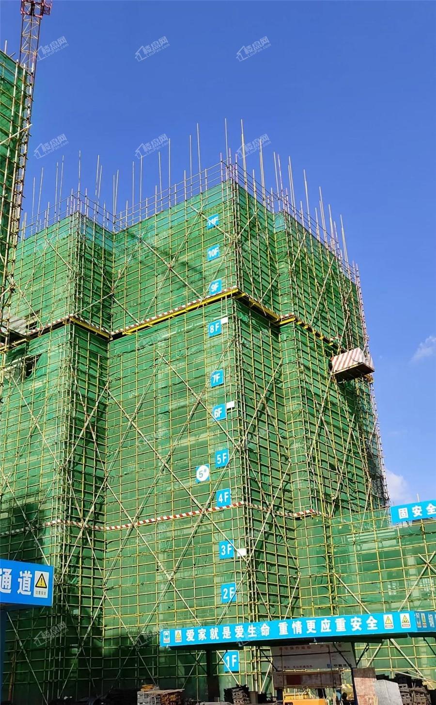 中梁国宾熙岸5#楼施工至结构11层实景图（摄于2019-11-5）