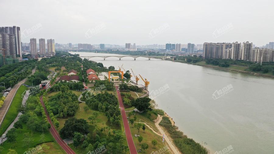 滨江公园实景图，距离荣和邕江华府100米（摄于2019年11月）