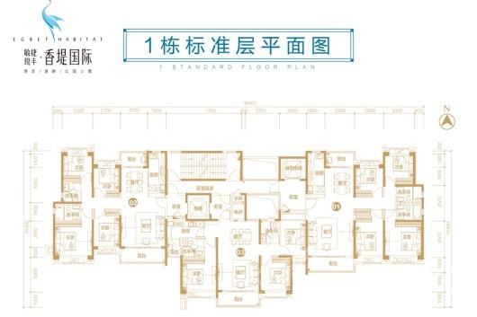 敏捷锐丰·香堤国际1层标准层平面图 4室2厅2卫1厨