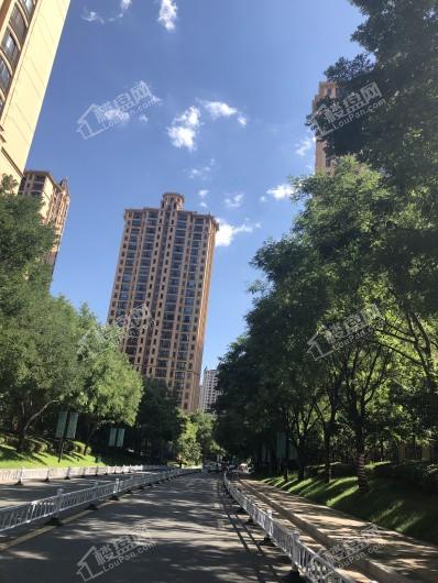 太原星河湾5号园小区环境实景