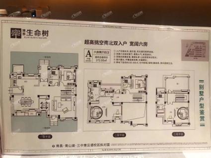 别墅A户型