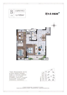 新西塘孔雀城B户型105平