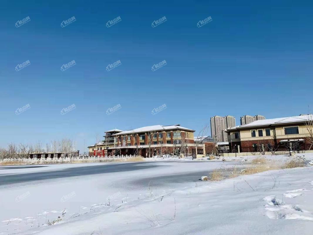 黄河龙城2019年雪景