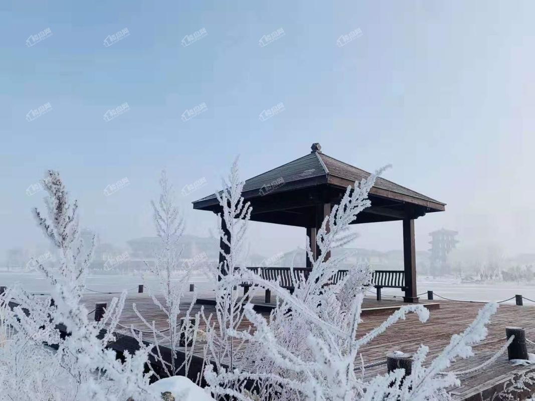 黄河龙城2019年雪景