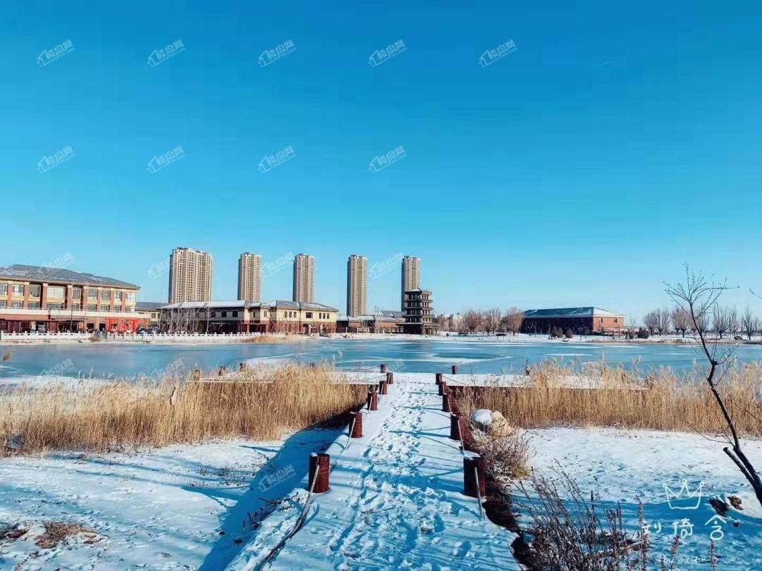 黄河龙城2019年雪景