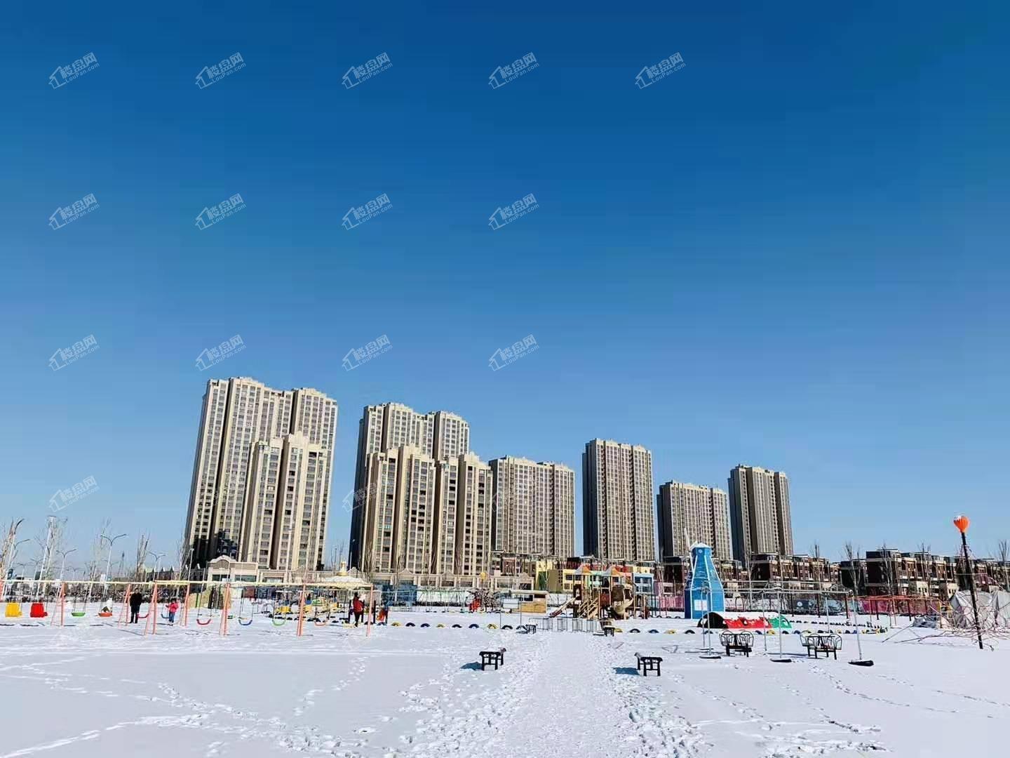 黄河龙城2019年雪景