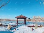 黄河龙城2019年雪景