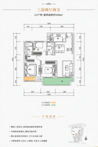 九里蓝湾C1户型 3室2厅2卫1厨