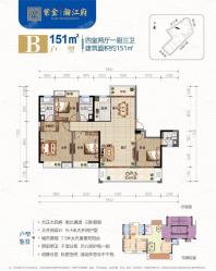 紫金瀚江府户型图