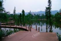 龙湖·千山新屿周边璧山观音塘湿地公园