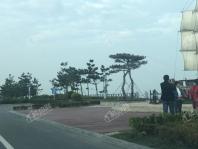 铂悦·灵犀湾周边配套之海军公园