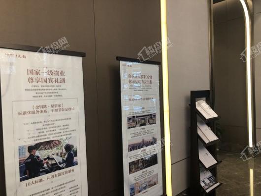 红星天铂材料展示