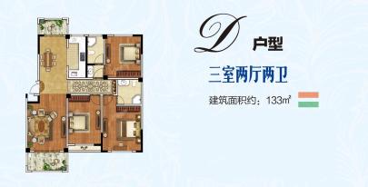 D户型133平三室两厅两卫