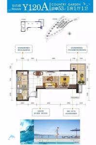 钻石郡Y120A户型 一房一厅一卫 53㎡