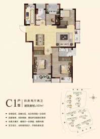 平湖中天熙景诚品107㎡C1户型图