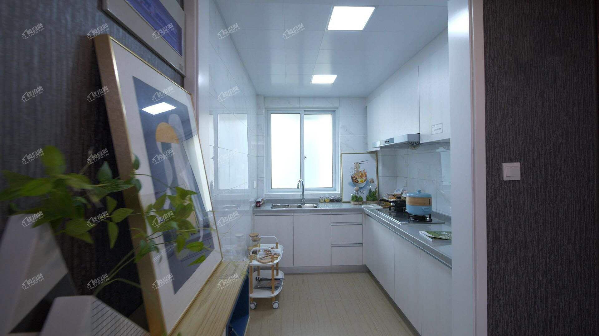 中南漫悦湾样板房照片厨房