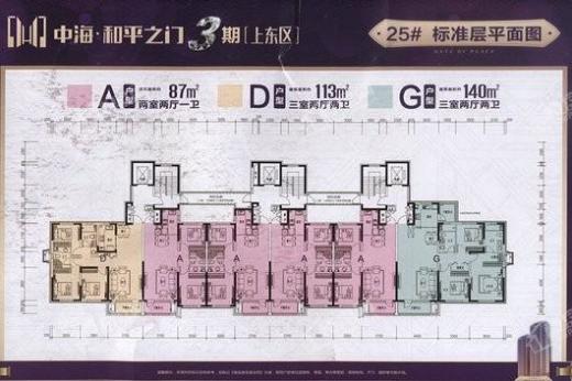 中海和平之门棠颂户型图