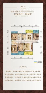 C户型-四房两厅一厨两卫-143㎡-赠送19㎡