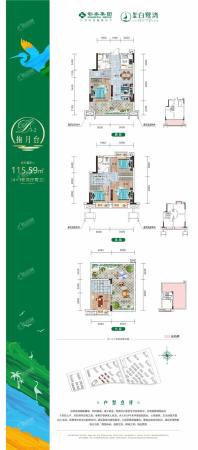 叠墅D3-2建面115㎡（4+1）2厅2卫