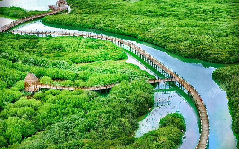 富力红树湾实景图