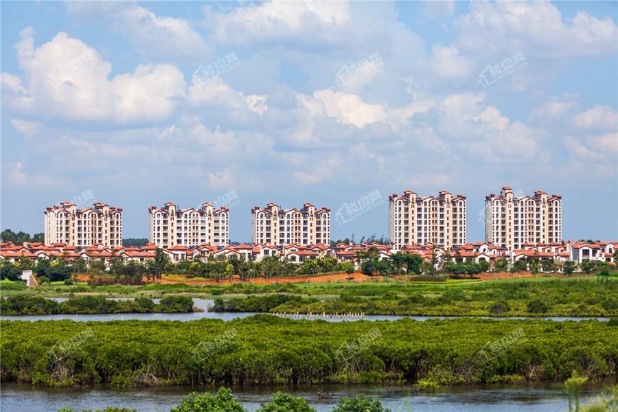 富力红树湾实景图