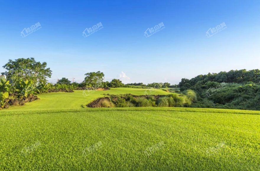 观澜湖观悦实景图