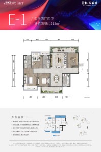 金科天籁城1/2/3/4#楼E1户型115㎡