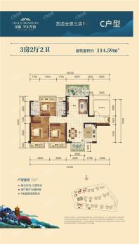 荣和半山华府1/11/12/13#楼C户型