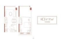东润朗寓C1户型 1室1厅1卫1厨