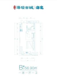 中辉海寓B户型56.90㎡ 1室1厅1卫1厨