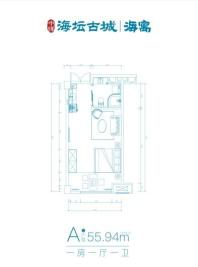 中辉海寓A户型55.94㎡ 1室1厅1卫1厨