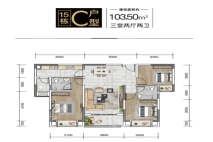 涪陵金科大都会C户型 3室2厅2卫1厨