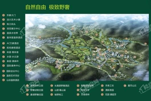 鼎龙·十里桃江项目规划图