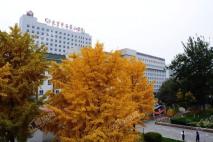 中建·国望府周边配套-北京市石景山医院