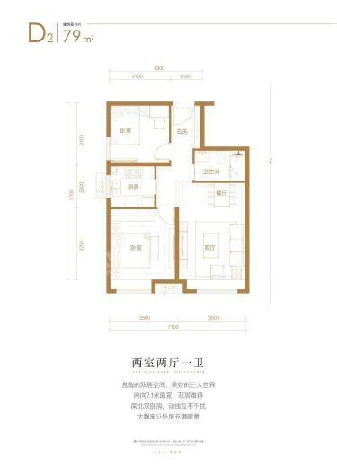 和悦华玺D2户型 2室2厅1卫1厨