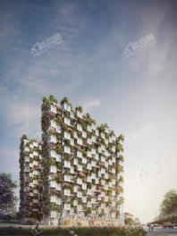 居然之家·垂直森林城市综合体垂直森林