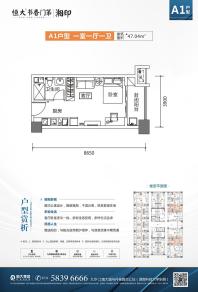 A1户型